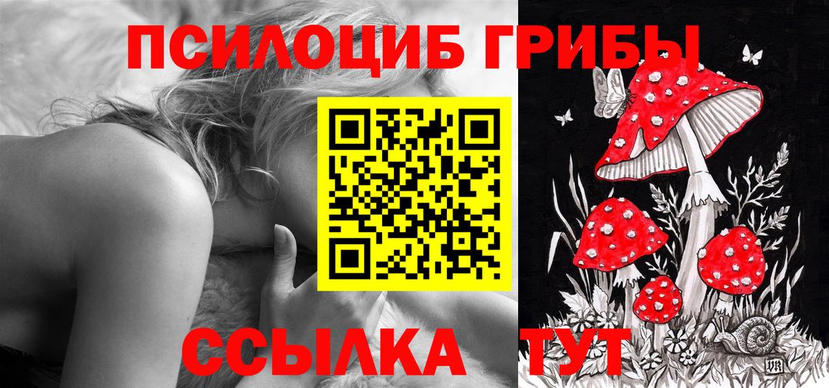 Псилоцибиновые грибы прущие грибы  Псилоцибиновые грибы Magic Shrooms  Вход с VPN  Кунгур 